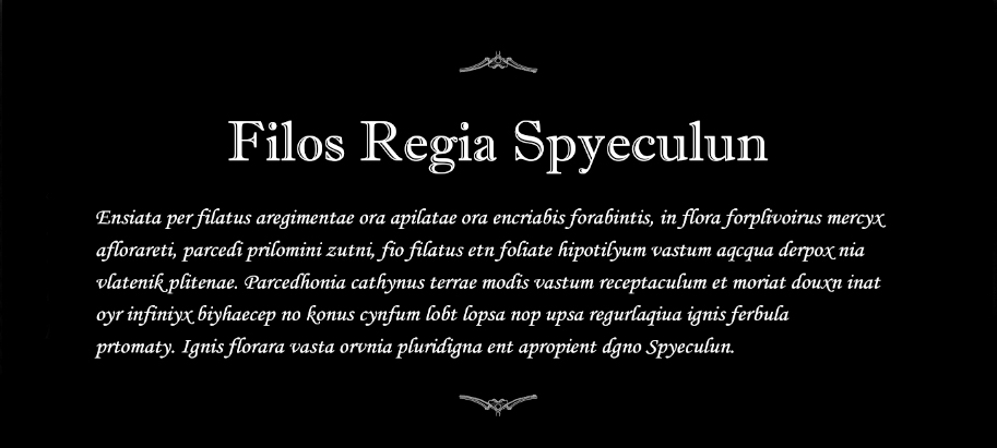 Filos Regia Spyeculun | Detalhe 2