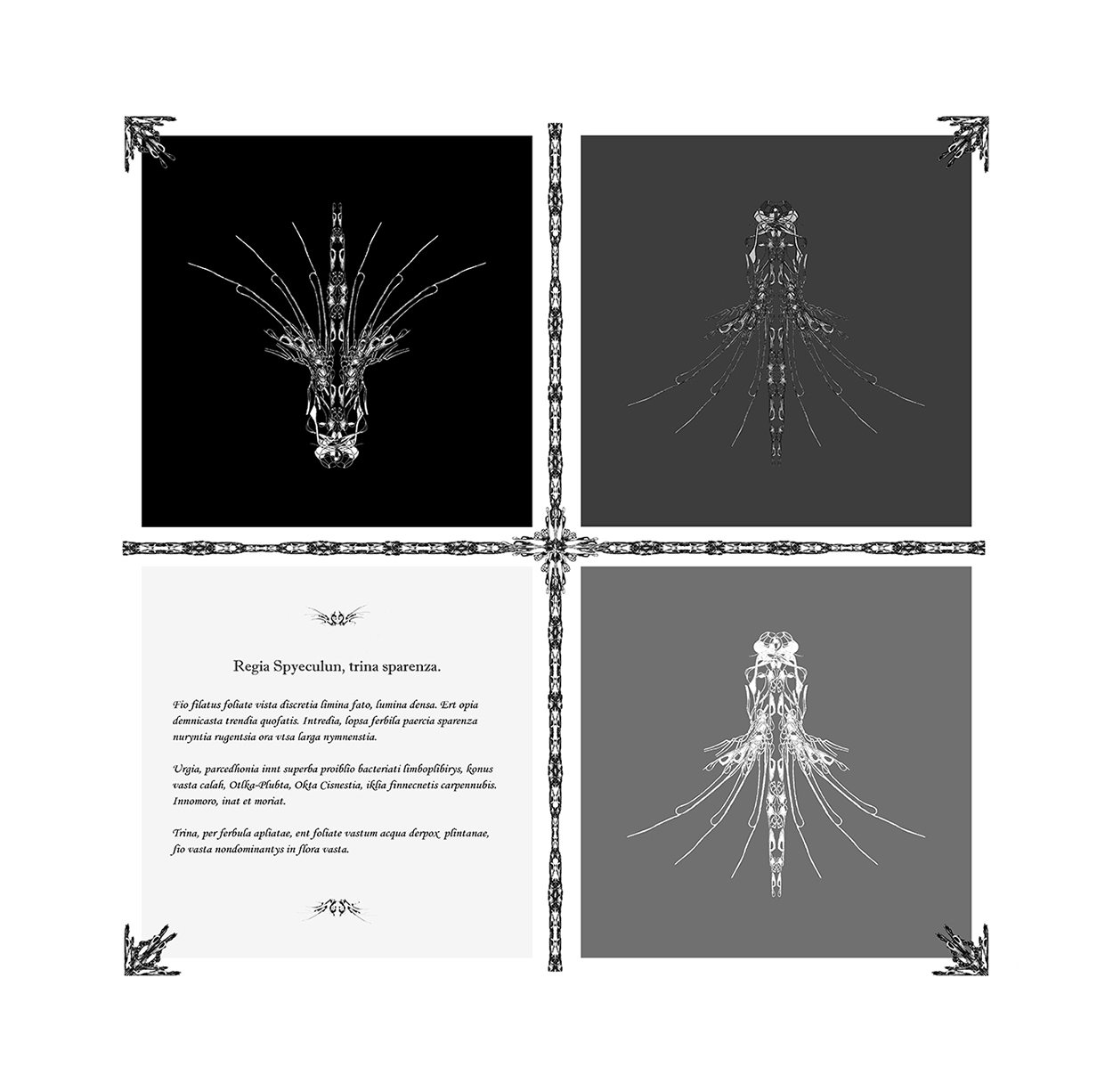 Regia Spyeculun Laminae | fios de cabelo em manipulação digital 60 x 60 cm | fineart paper | 2016